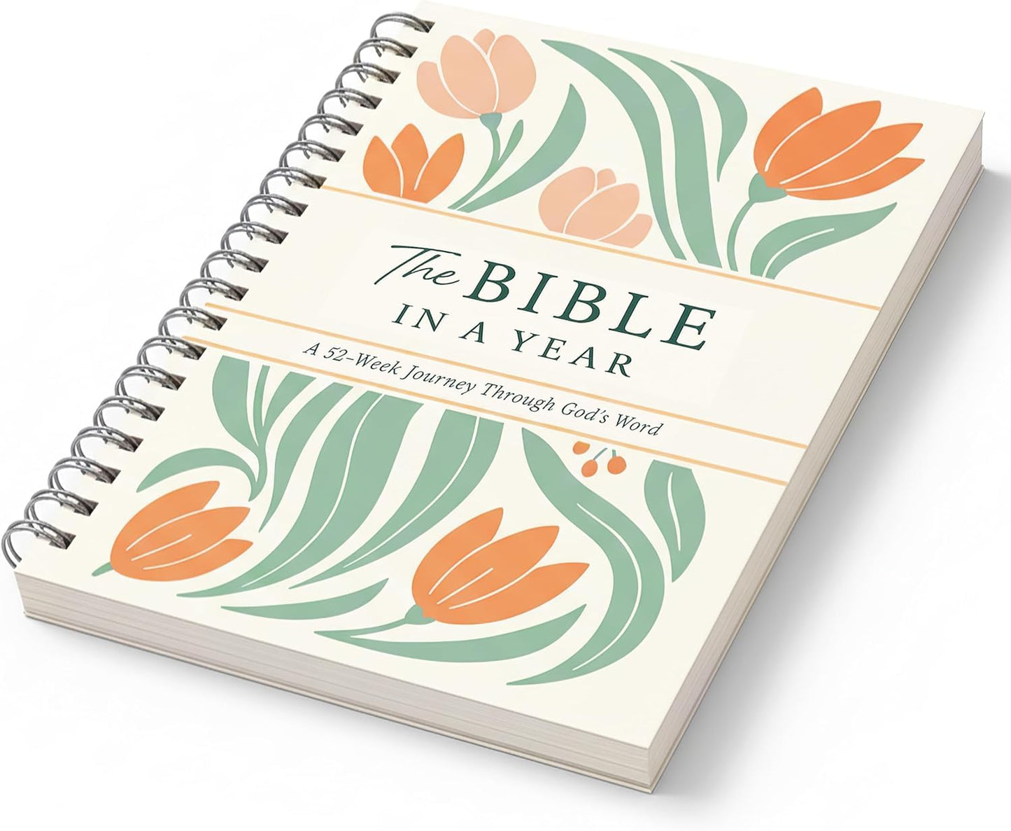 The Bible In A Year: A 52-Week Study