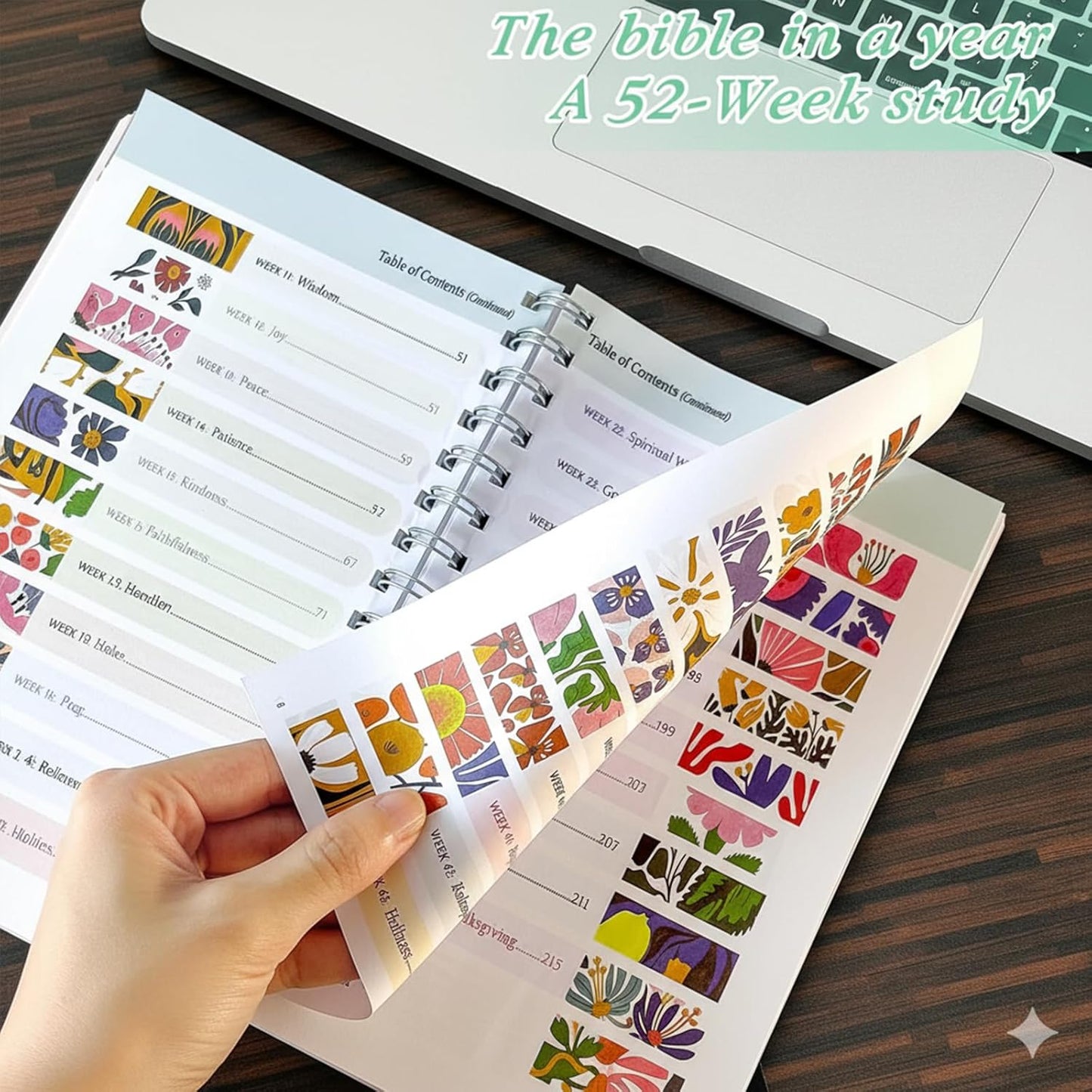 The Bible In A Year: A 52-Week Study